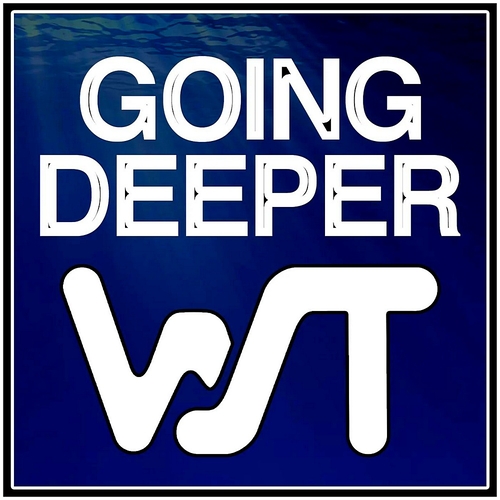 VA - World Sound Trax Going Deeper [WSTGD2024]